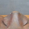 &nbsp;