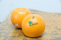 263_flordiapopartnavelorangesaltpepper--002.jpg