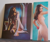 385_rainbowvintagehologramnudes--001.jpg